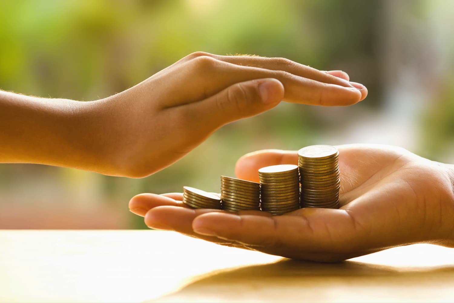 Prestação De Contas Para ONGs: Guia Para Transparência